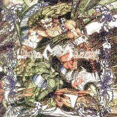 Metal Mareny : Metal Mareny